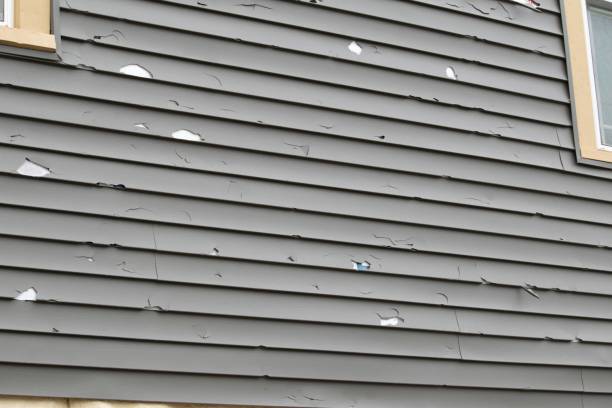 Best Aluminum Siding Installation  in La Presa, CA