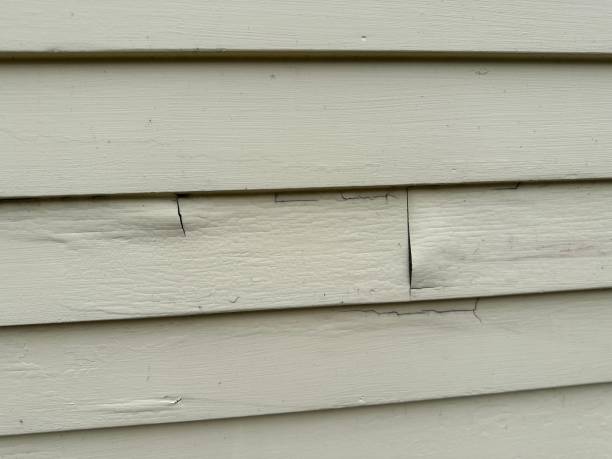 Best Fascia and Soffit Installation  in La Presa, CA